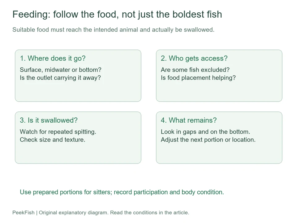 Four observations during feeding: location, access, swallowing and leftovers