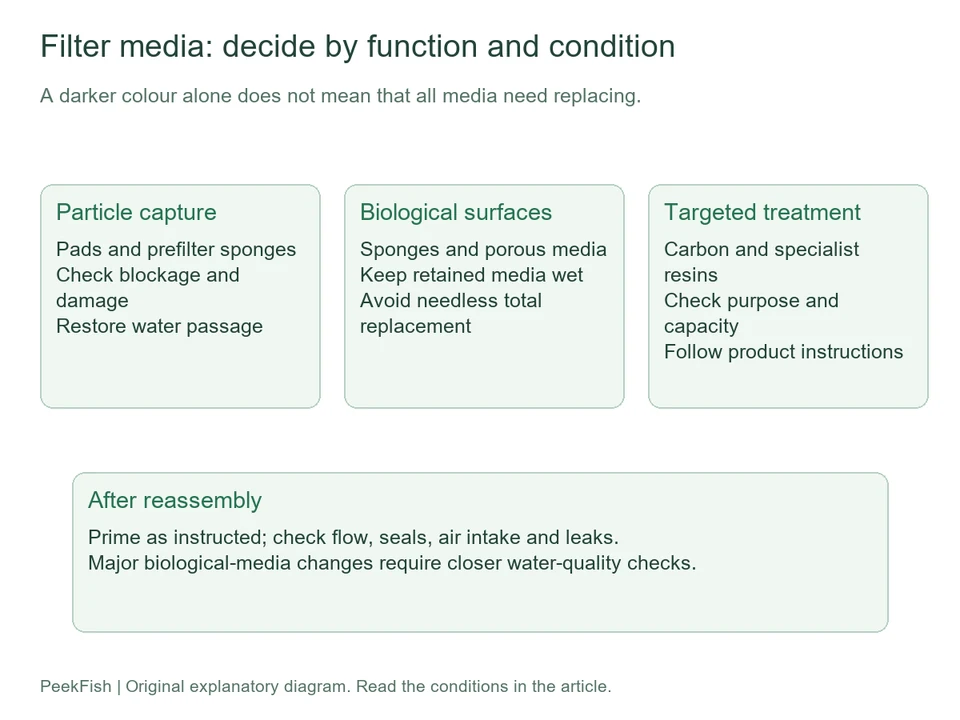 Filter-media functions and checks after reassembly
