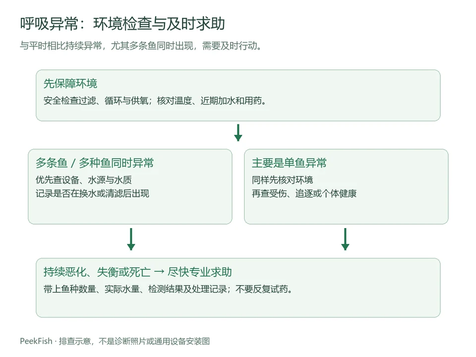 呼吸异常时先检查环境,再区分影响范围的流程图