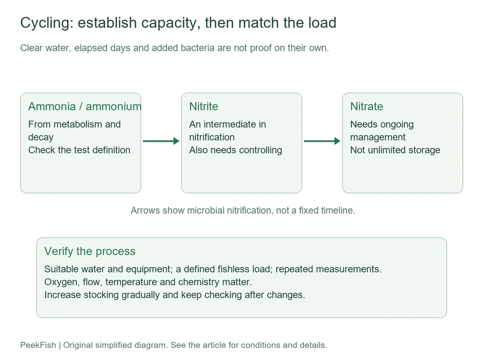 Nitrification stages and evidence needed to verify cycling