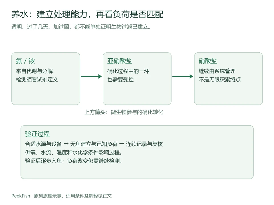 氨、亚硝酸盐和硝酸盐转化及养水验证流程