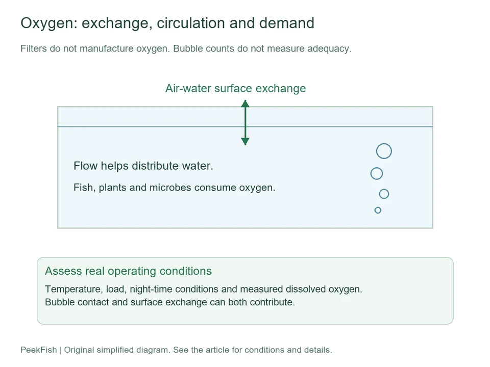 Surface exchange, circulation and oxygen demand