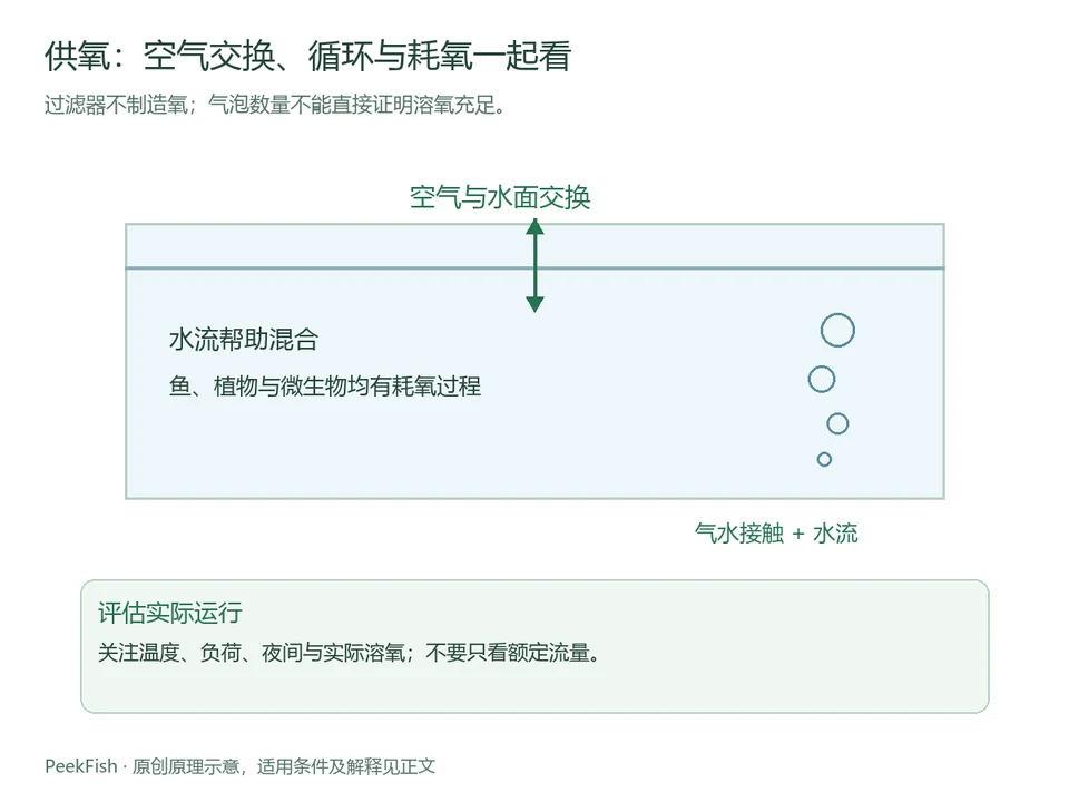 水面交换、气泡和水流对供氧的作用示意