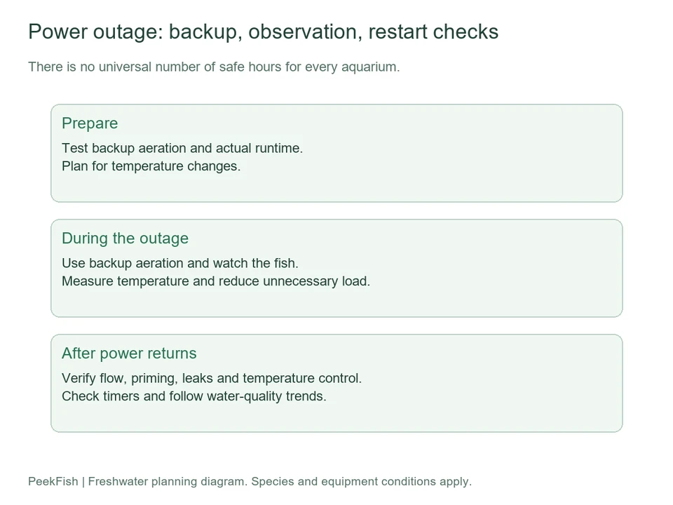 Preparation, outage care and restart checks